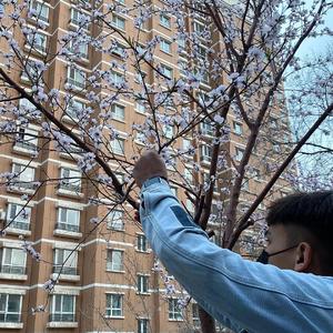 男生GAY狠打spanking
